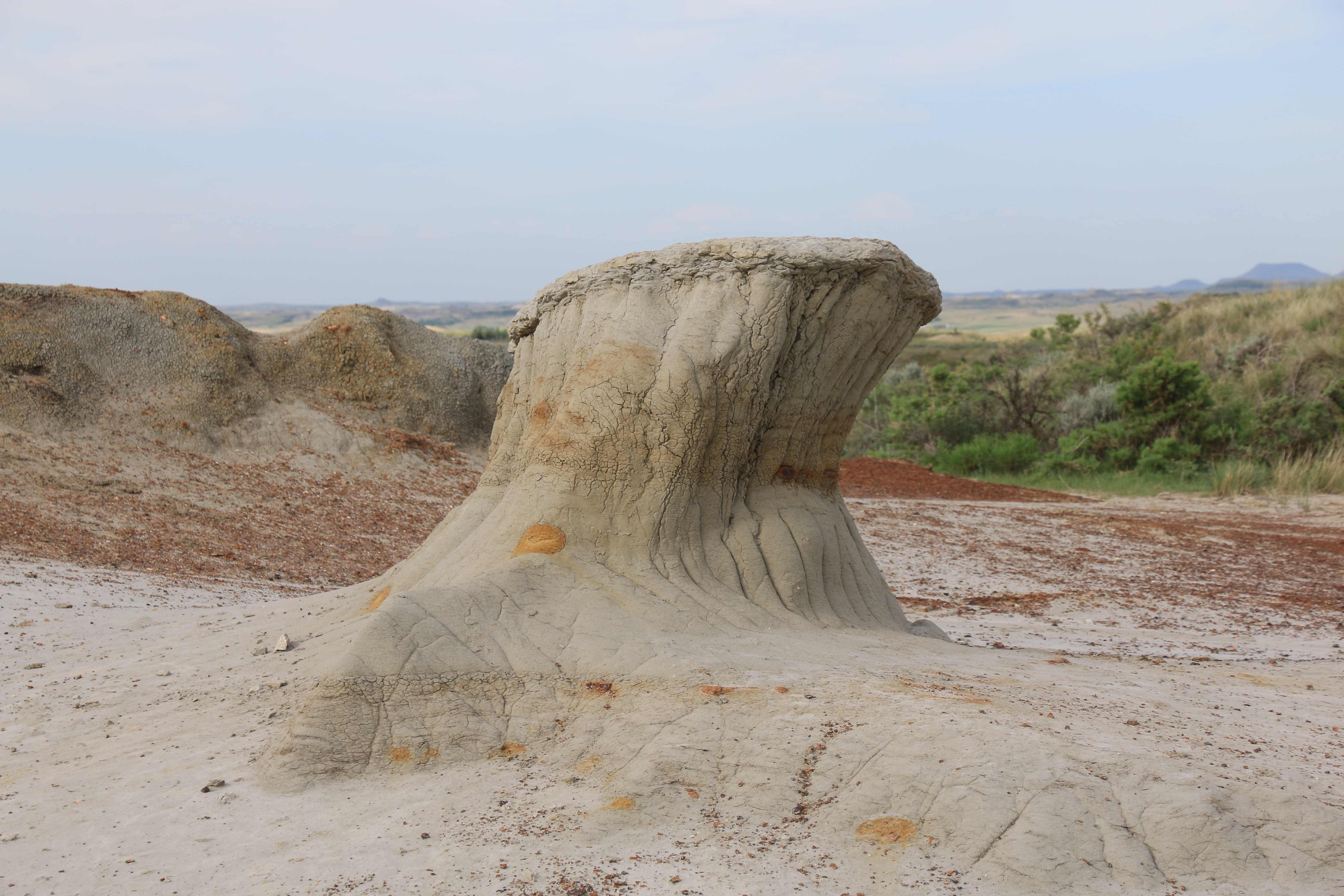 Theodore Roosevelt NP
